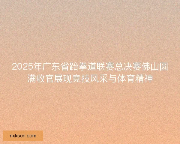 2025年广东省跆拳道联赛总决赛佛山圆满收官展现竞技风采与体育精神